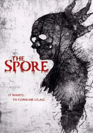 Споры онлайн